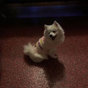 Meet your Posher, Kara